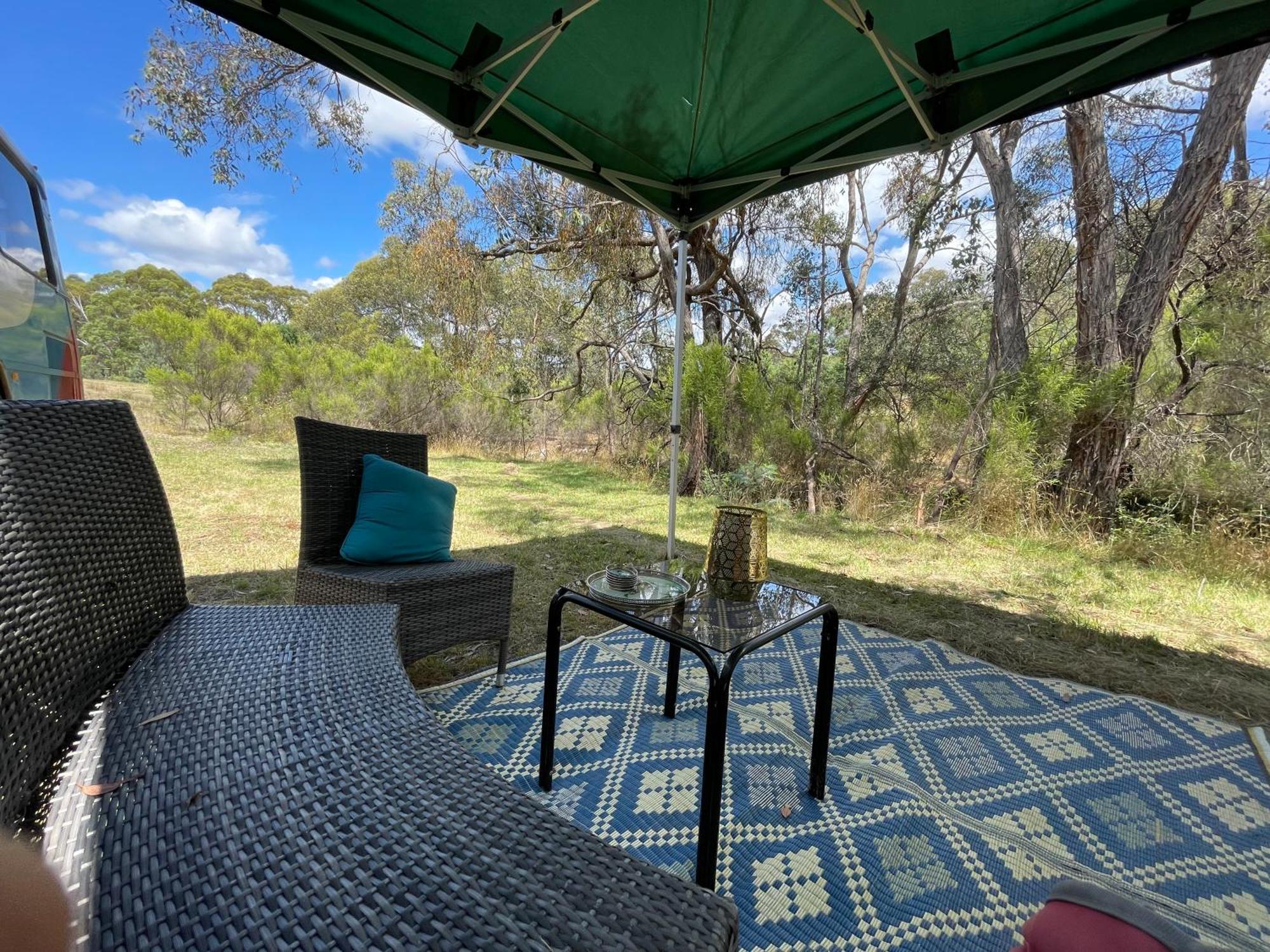 Bus - Tiny - 1980s Classic With Off Grid Elegance